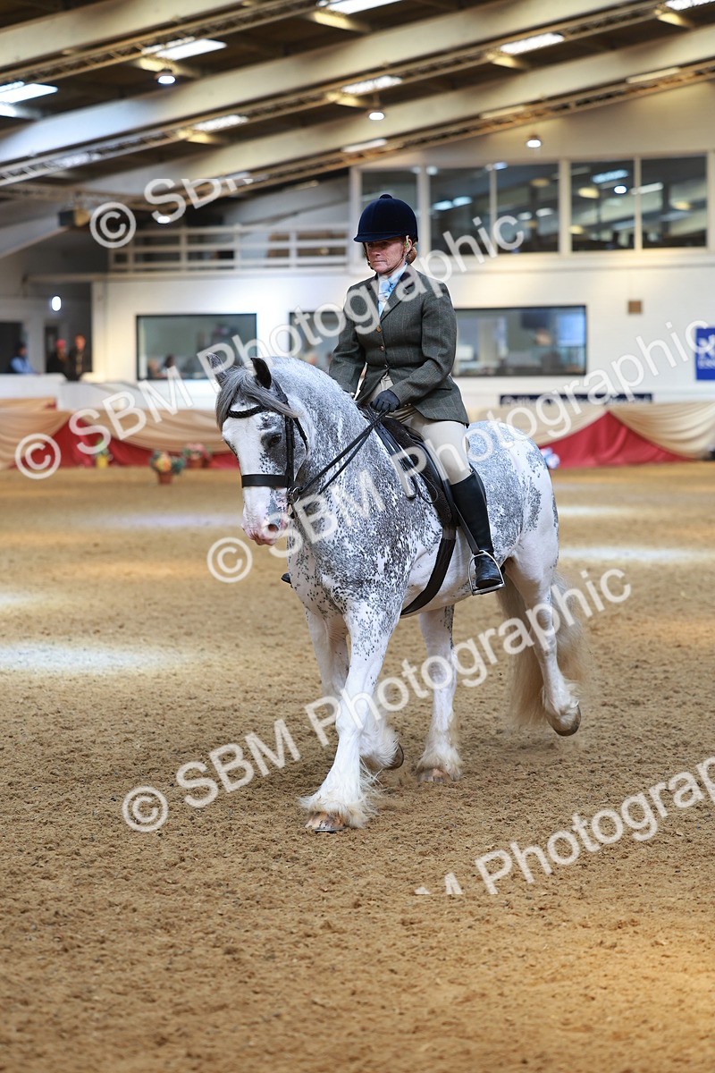 SBM_12597 - Class 103 - HOYS Veteran Qualifier - Ridden Pre Vet