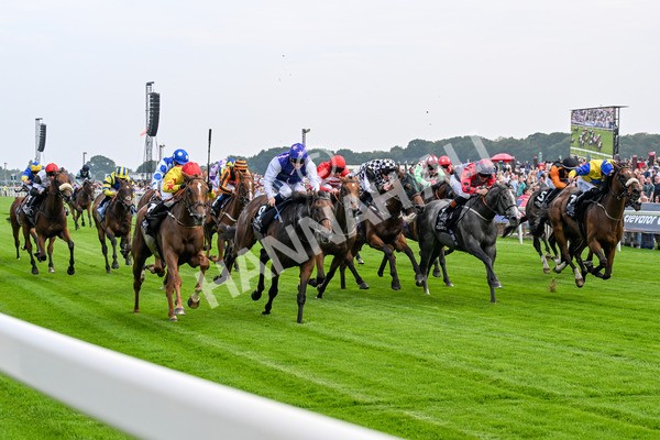 250725-Race 1-Pressures On - Quest For Fun-0215 - Race 1 5.30pm eventmasters.co.uk Handicap