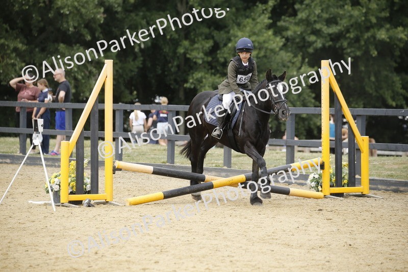 20250622-4691 - 50cm