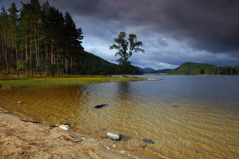 Loch Pityoulish near Aviemore. - Scotland