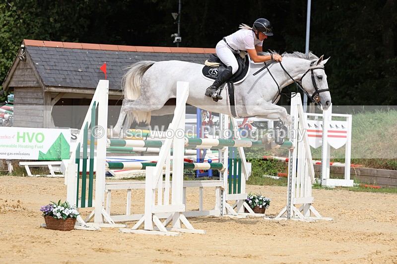 3E7A4480 - Class 8: Senior Foxhunter/1.20 open