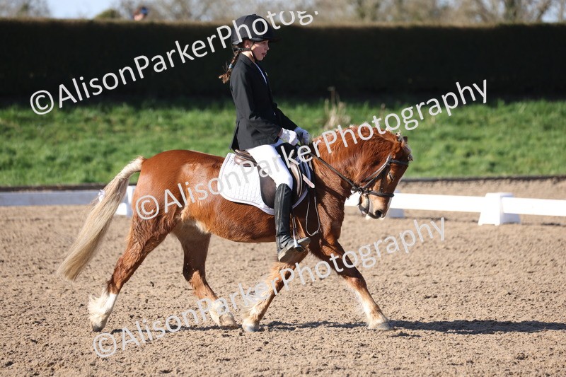 20260214-0366 - Class 4 - Novice 2