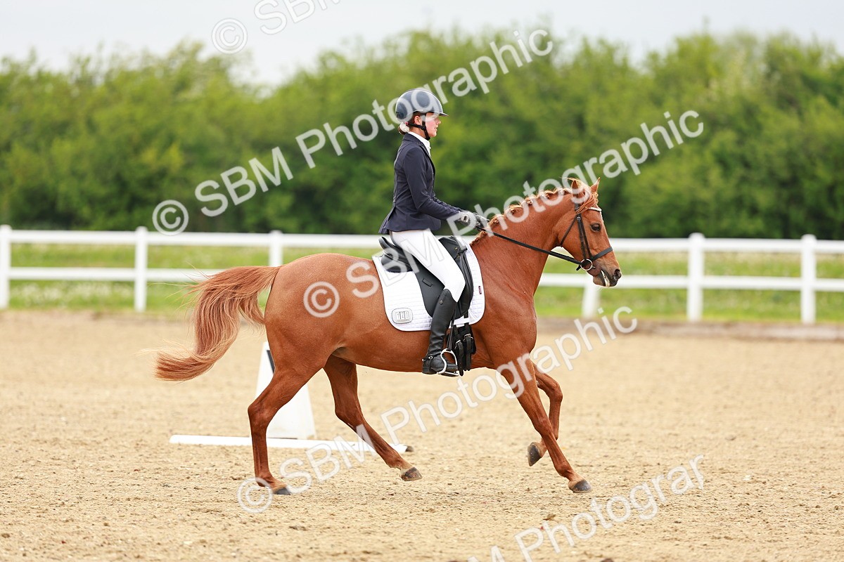 SBM_005229 - Class 16 - Novice 6