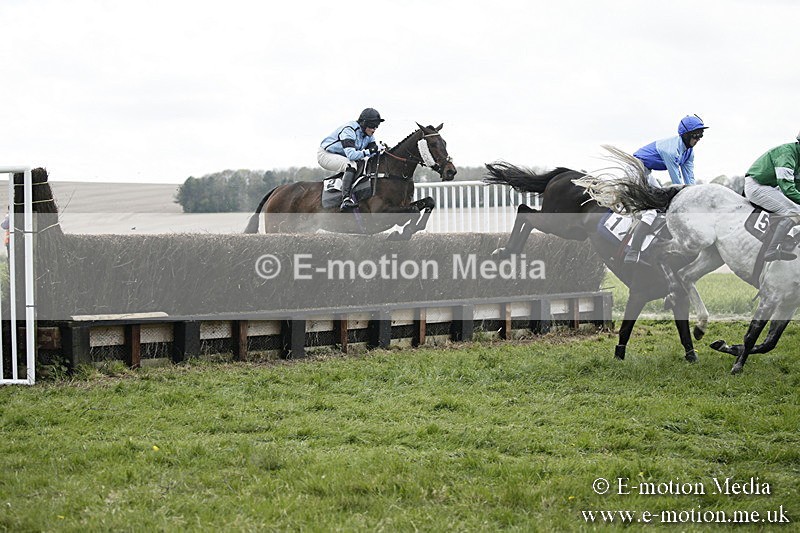 PtP 170417 96 - Old Berks Point-to-Point Lockinge 17/04/17