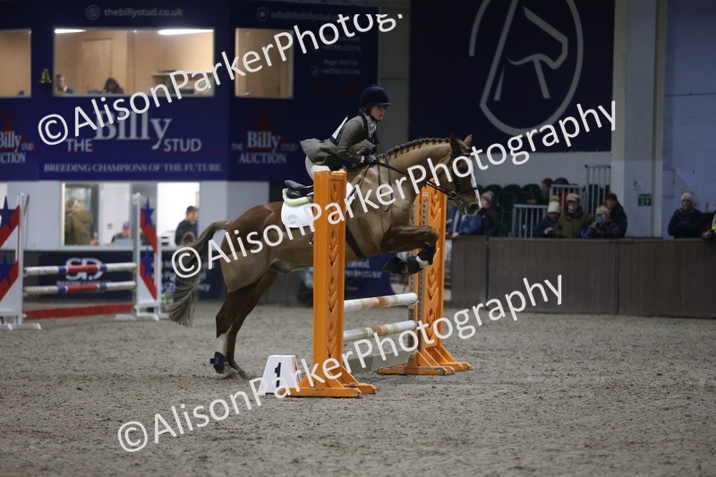 20260125-5016 - Class 5 - 80cm