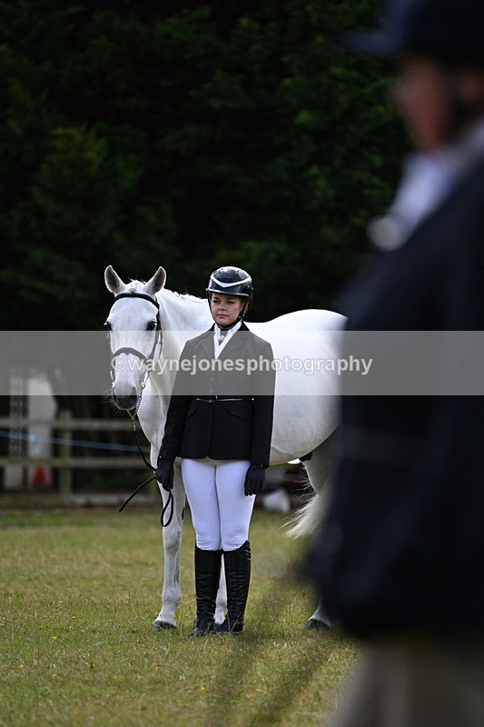 WJ7_7055 - Class 5a Most Handsome Gelding in Hand