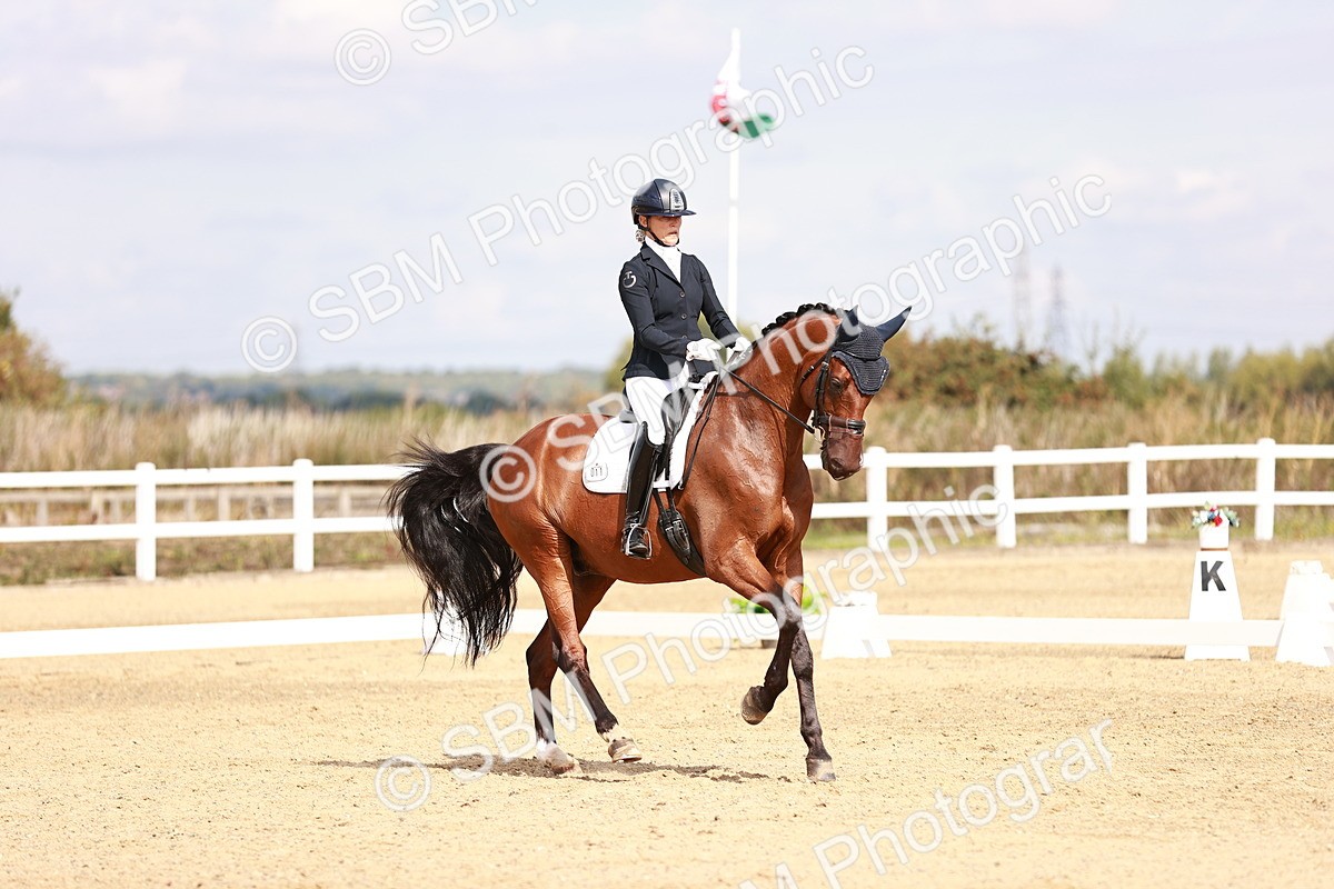 SBM_017641 - Class 11 - Advanced Medium 6