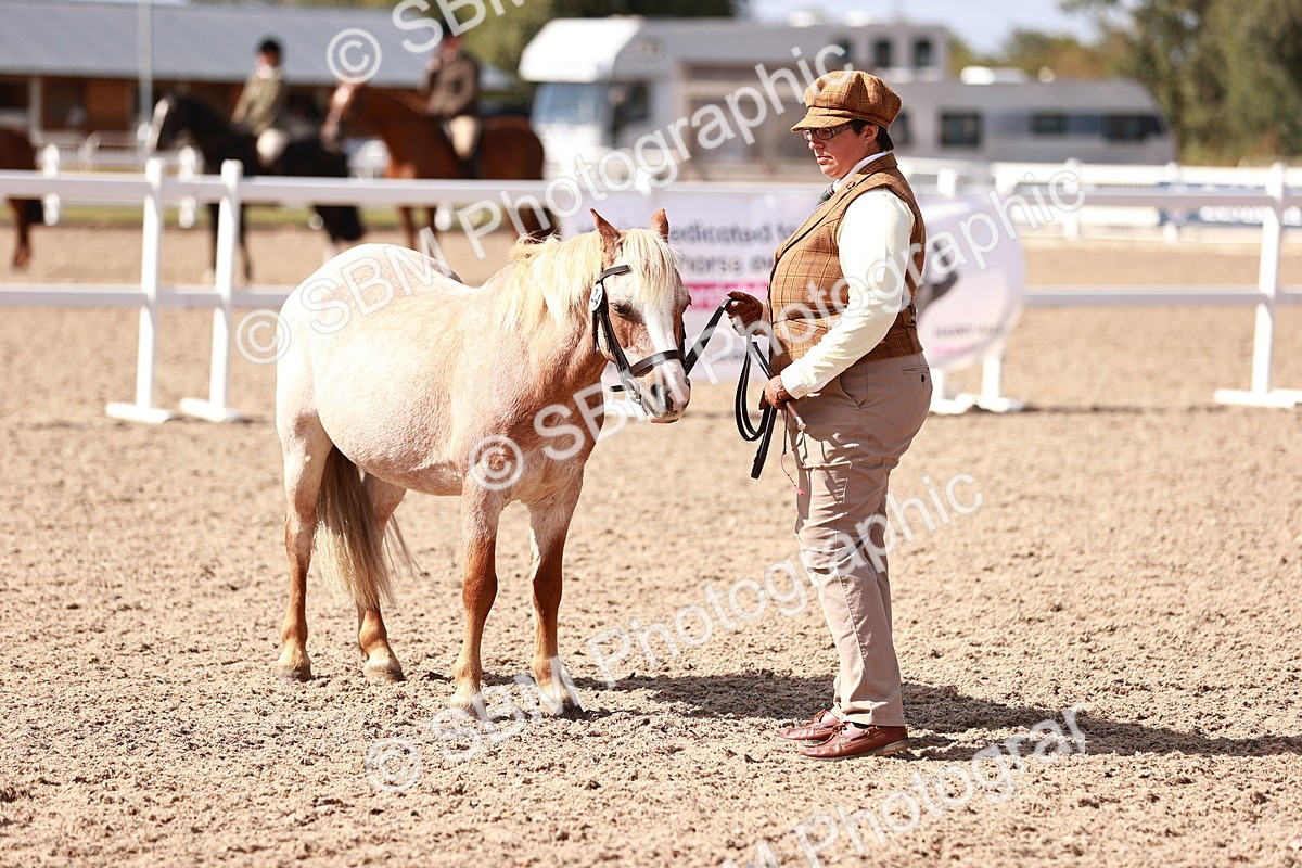 SBM_22916 - Class 706 - IH Veteran