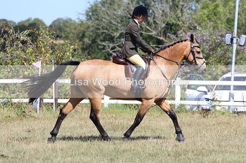 3E7A6350 - Working Hunter Championship