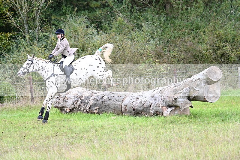 WJ7_3911 - Camera 1 Line 1