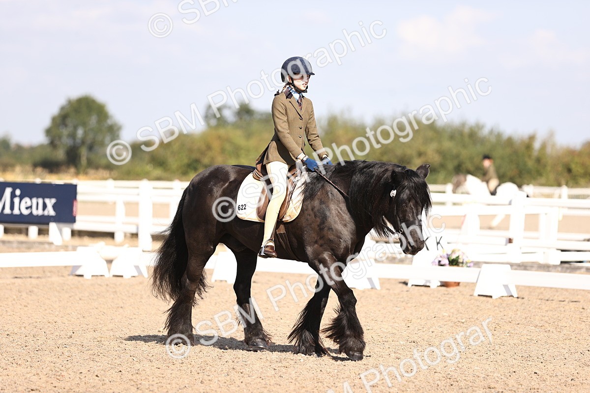 SBM_03474 - CLass 35 Intro 3