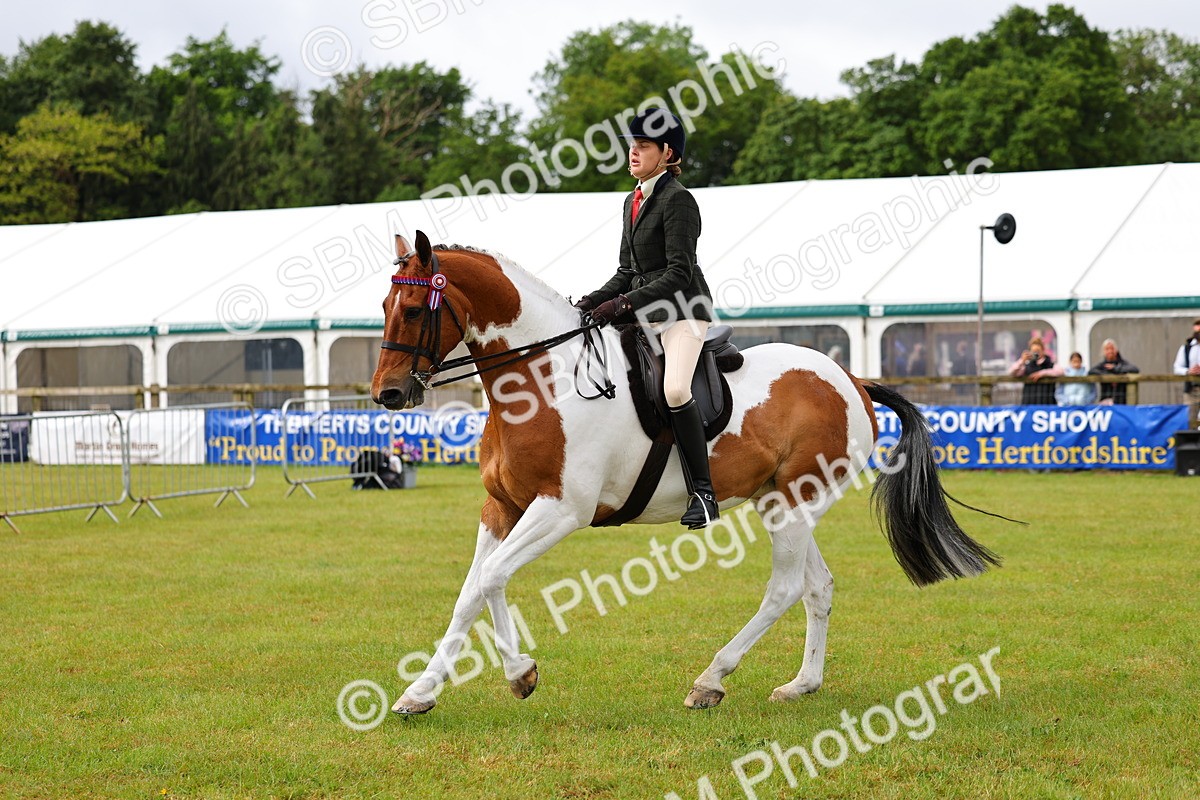 SBM_02525 - Class 9-11 Side Saddle including LIHS Rising Star Ladies Show Horse