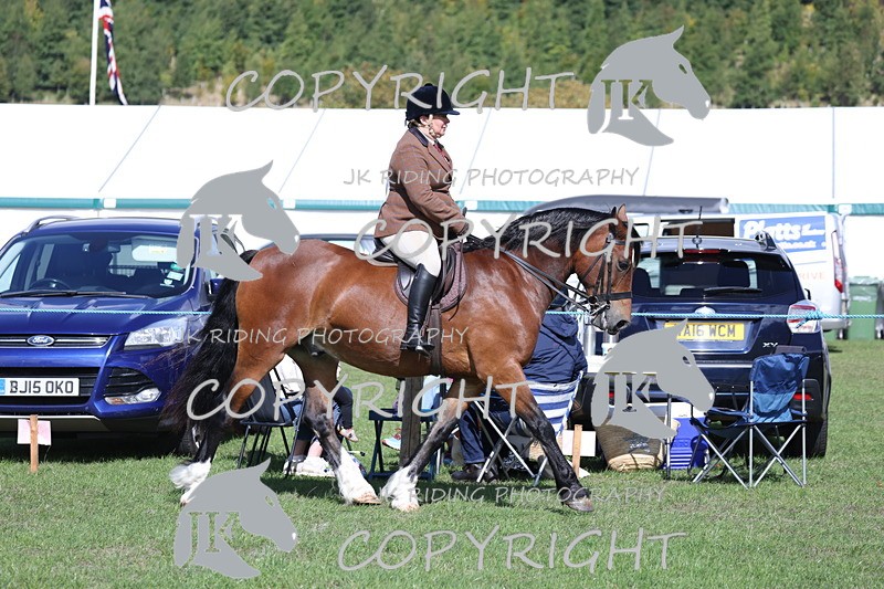 APP_3052 - Class 11 Veterans ridden