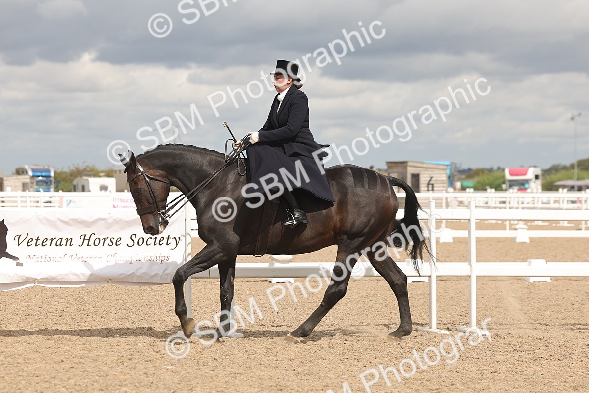 SBM_06356 - Class 22 - SSA - Equitation