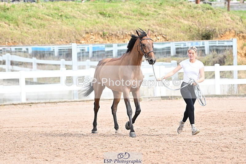 240717A-165645-03554 - Trot Up 4pm to 5pm