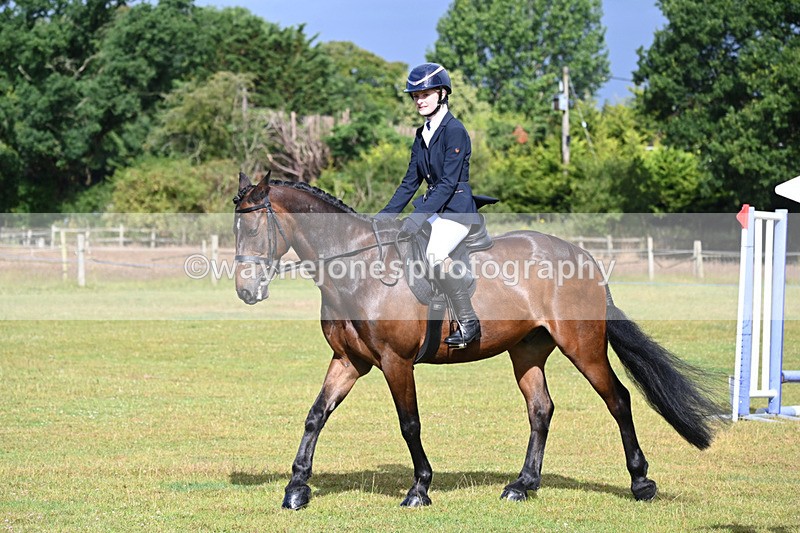 WJ6_8504 - Class 9 Tack & Turned out