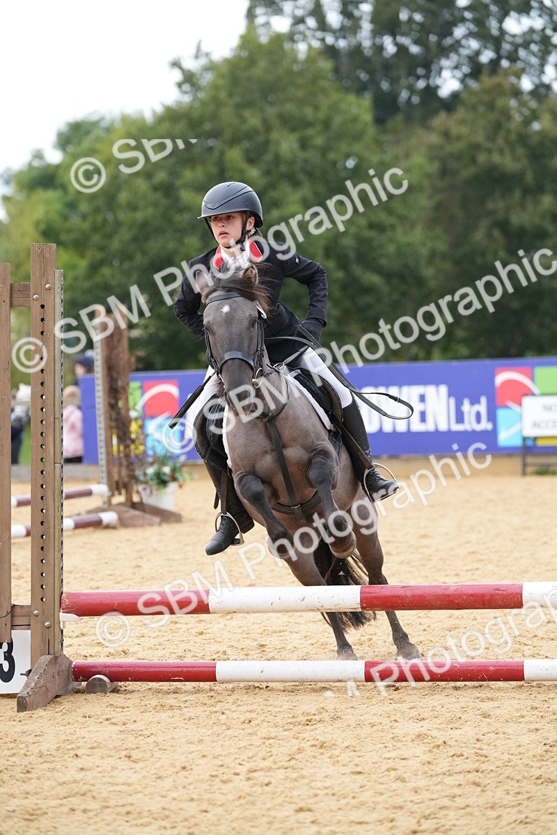 SBM_74874 - J4 - Mini Tour Junior Pony 45cm Championship