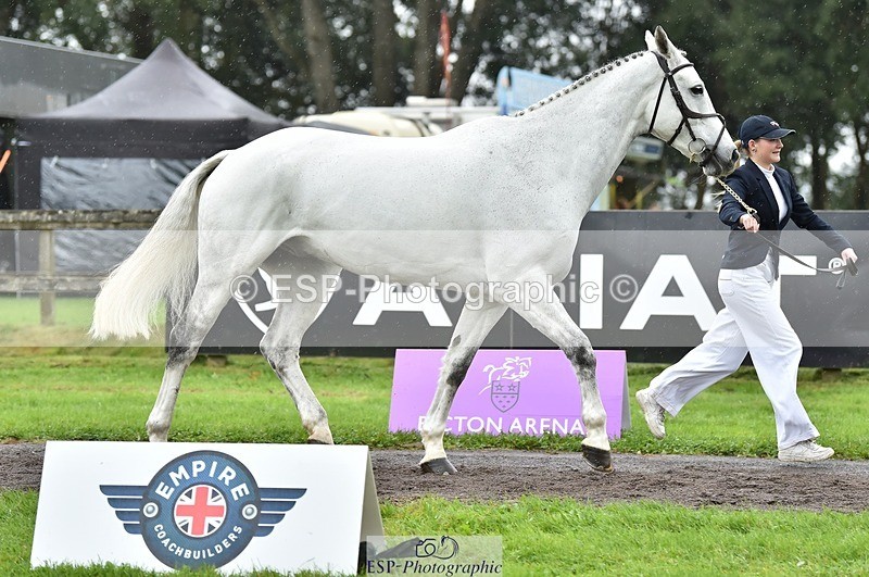 231018-125136-00579 - 072-CARROW.IROKO-Alice.England-TrotUp