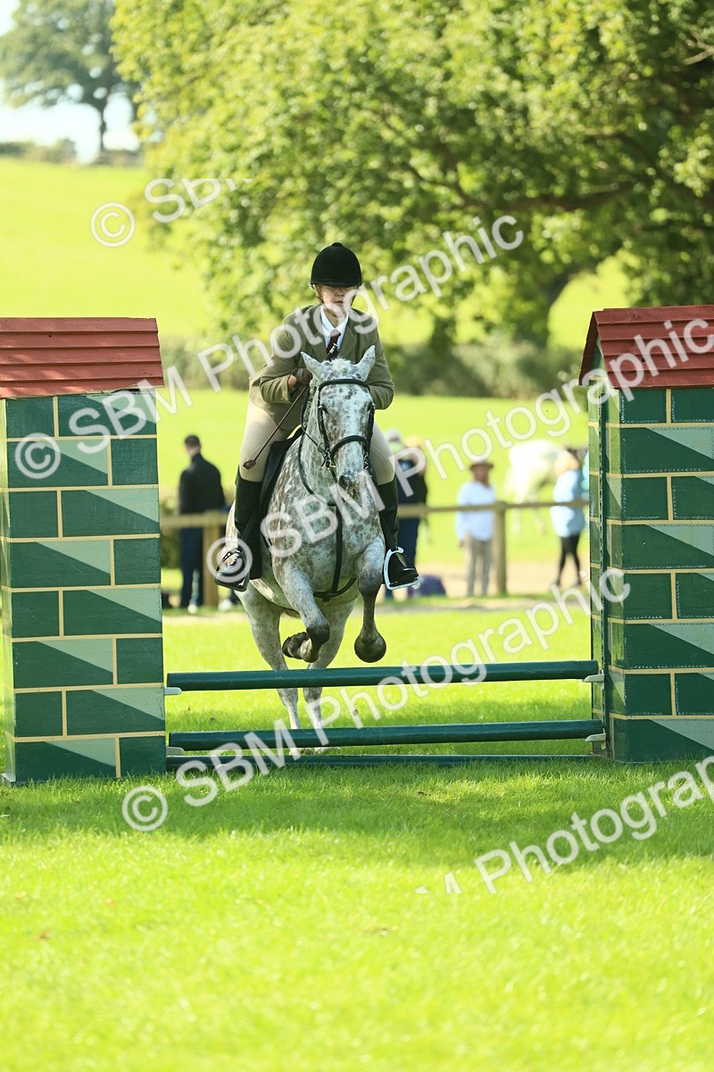 SBM_39260 - S29 - Novice & Newcomers Working Hunter Pony