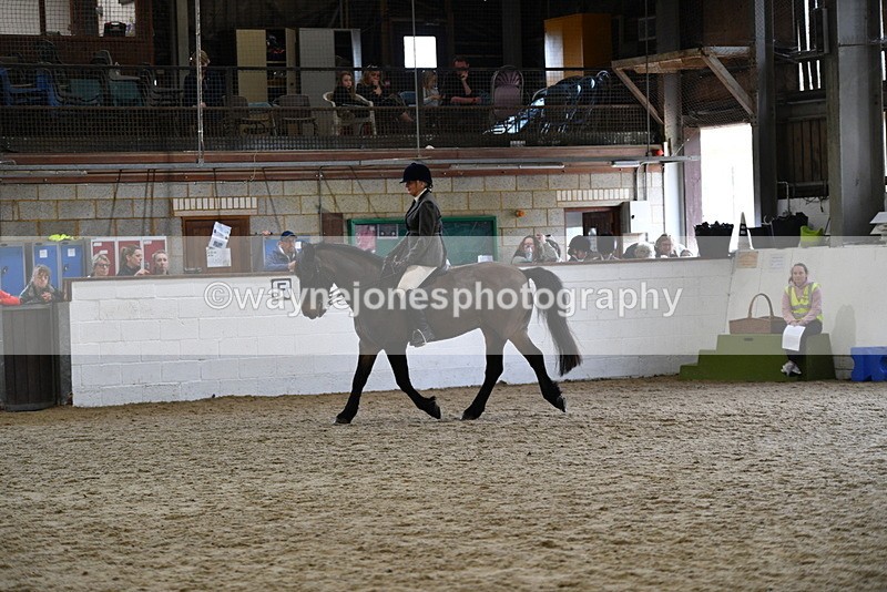 WJ5_6157 - Class 9 Ridden Veteran