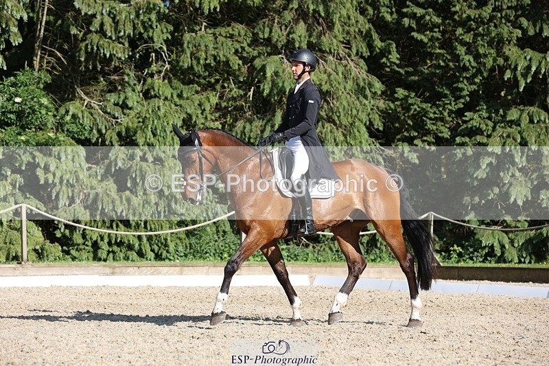 230526-173928-08004 - 180-GUEULE_DE_REVE-Arthur_Duffort-WEDTrotUp+DR