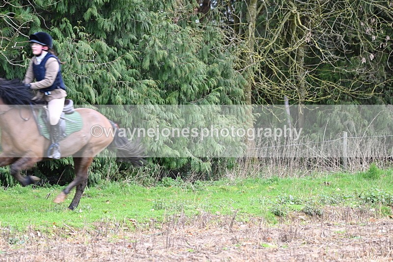 WJ6_9674 - Line Four