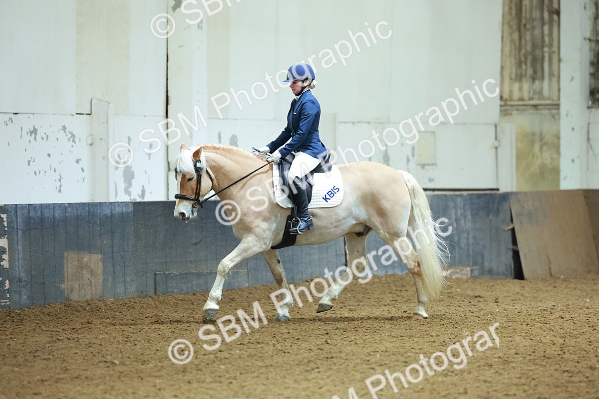 SBM_003906 - Novice 2
