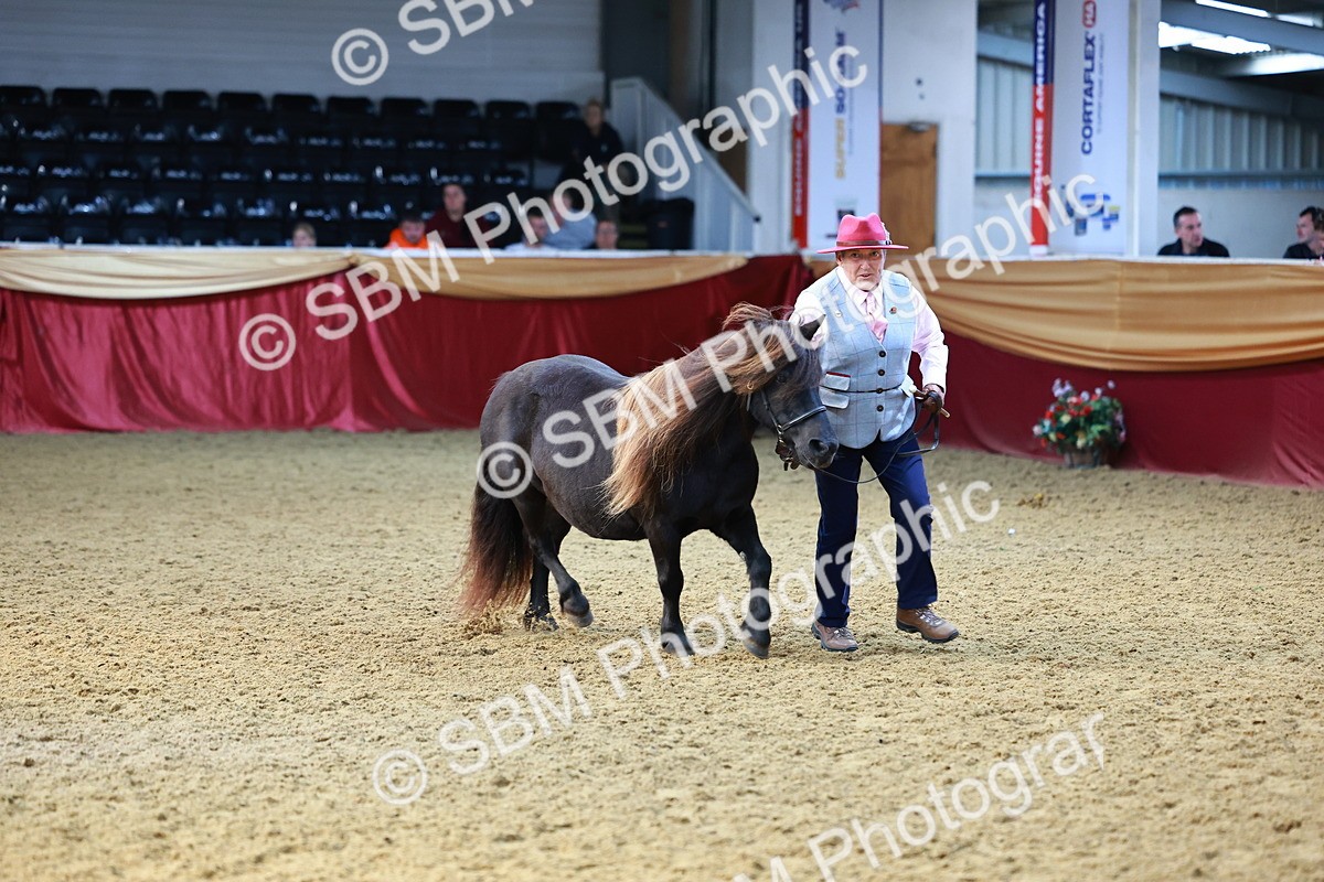 SBM_22346 - Class 902 - Supreme Final - IH Diamond