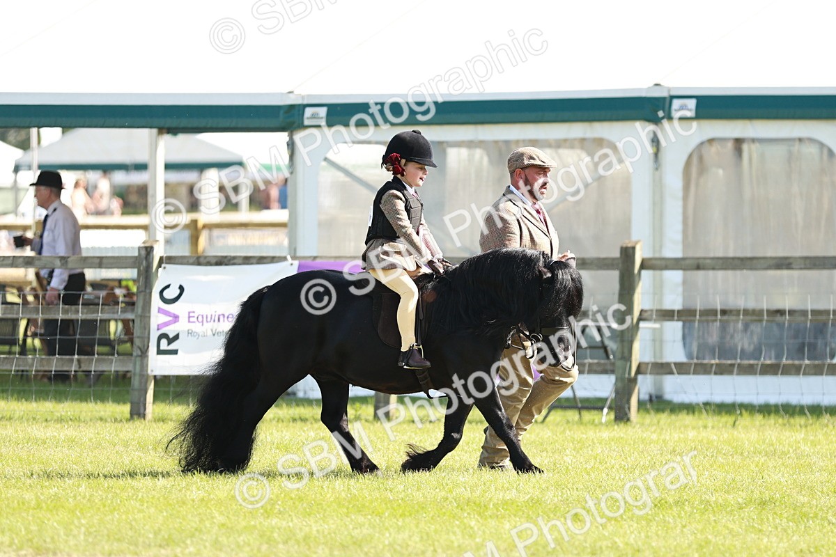 SBM_11353 - Class 106-107 - BSPS LIHS Working Sports Pony