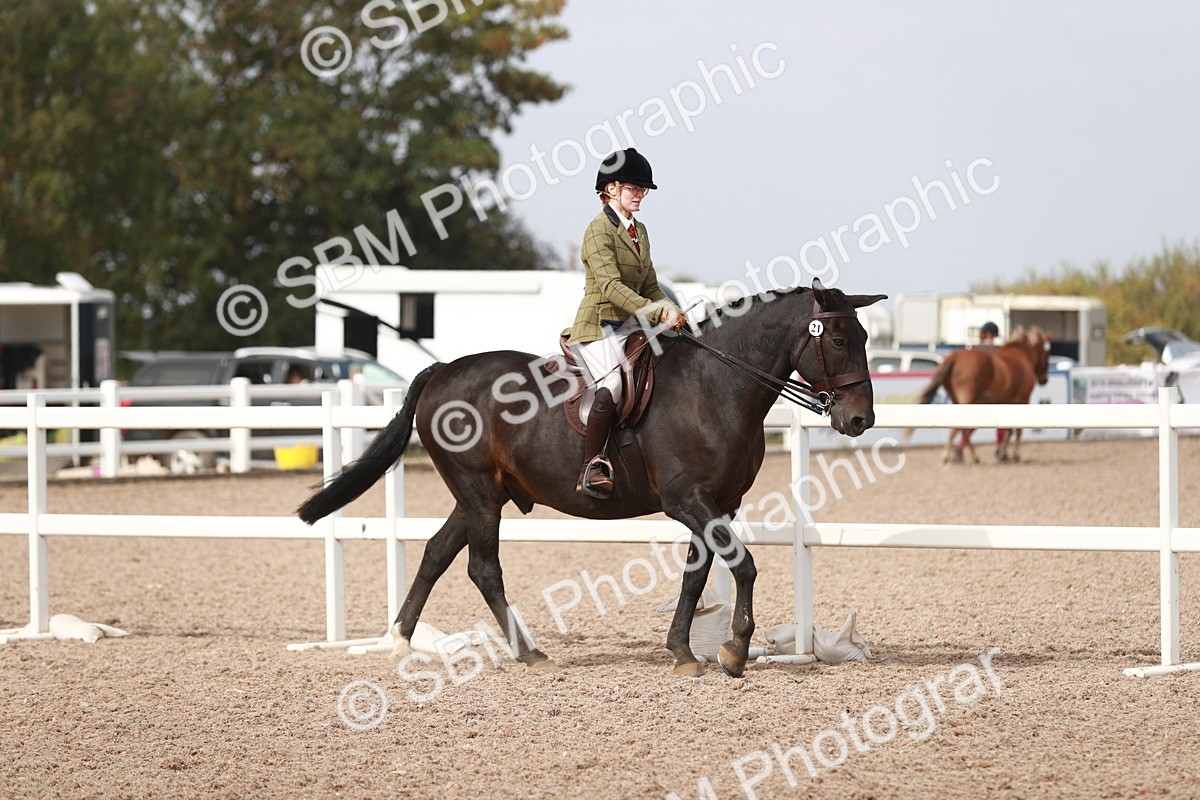 SBM_14795 - Class 212 Ridden Hunter - Small