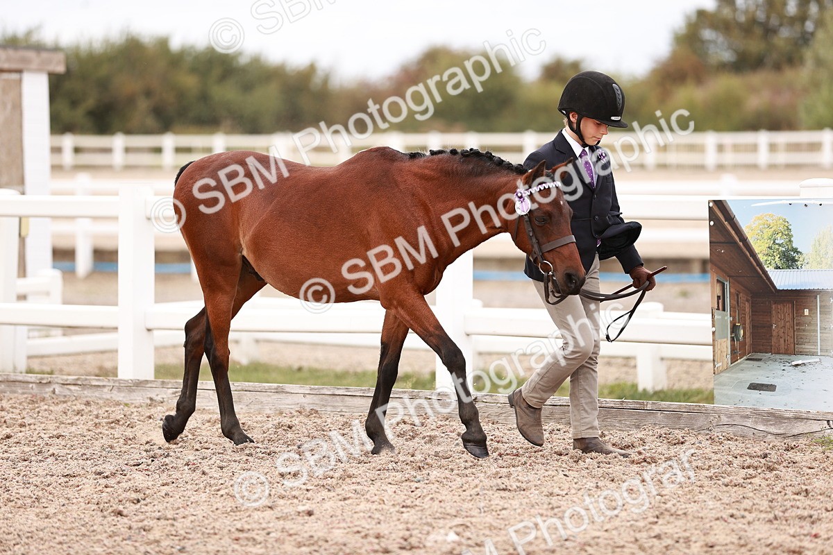 SBM_18547 - Class 421 - Childs Best Friend - Jnr