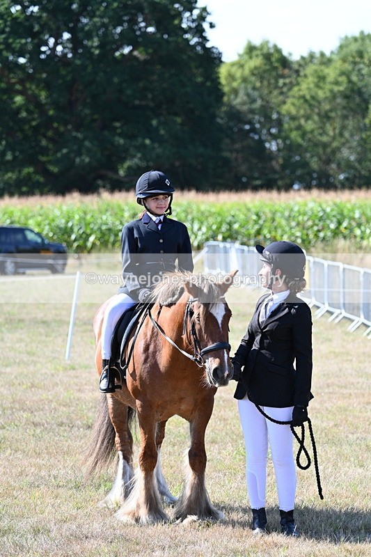 WJ7_3162 - Class 8 Ridden Tack & Turnout