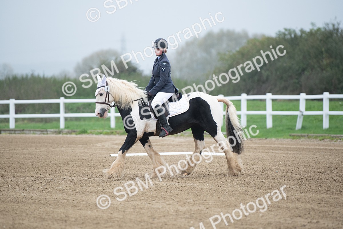 SBM_003369 - Introductory Test 3