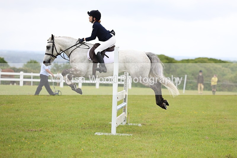 3E7A6615 - Class 9: Pony Discovery/90cm open