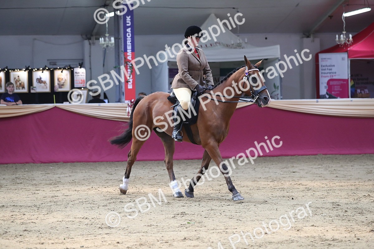 SBM_08391 - Class 11R Regional Ridden Veteran