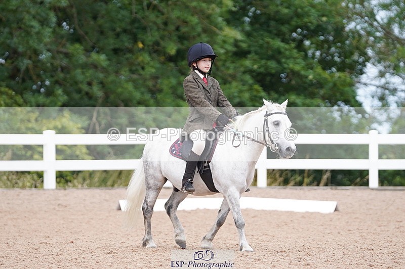 240809A-104428-00643 - Dressage Competition