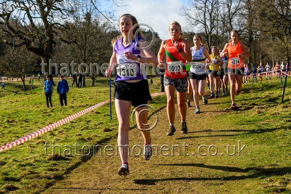 Falkirk25-914136 - Senior Women Set One