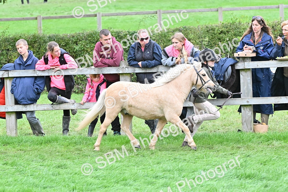 SBM_68580 - S42 - Junior Handler 9-12 Years