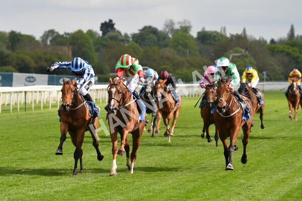 yr14052021r7-21 - Race 7 4.50pm Irish Thoroughbred Marketing Stakes