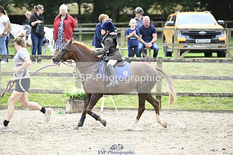 240822X-131303-07951 - 40cm LR R2 13.00 to 15.00