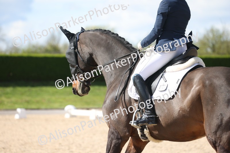 20260405-0666 - Class 7 - Medium 5