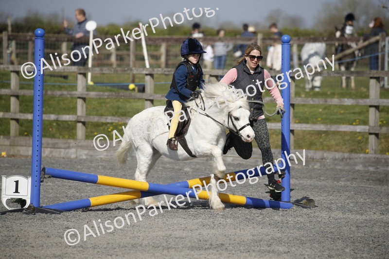 20250412-0183 - Show Jumping