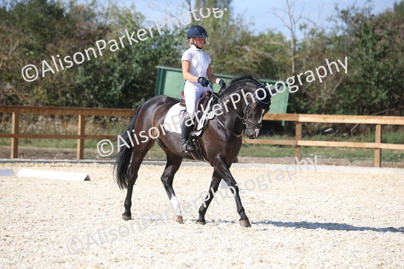 20260905-1620 - Class 5 - Novice 2