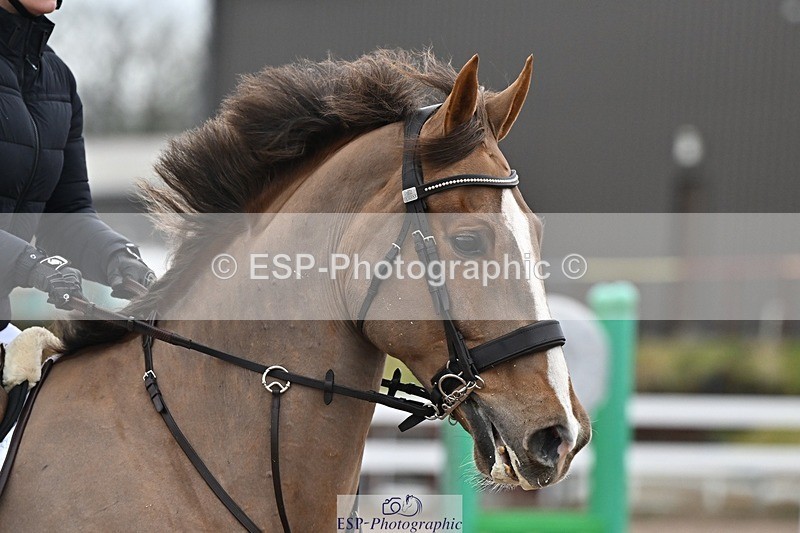 250221-093252-00135 - Cls 2 British Novice and 90cm Open