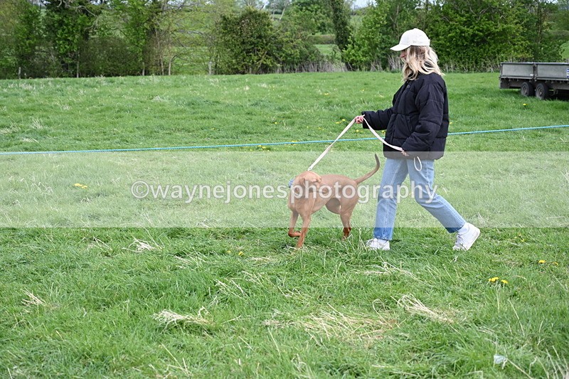 WJ6_8112 - Class 2 Best Pedigree