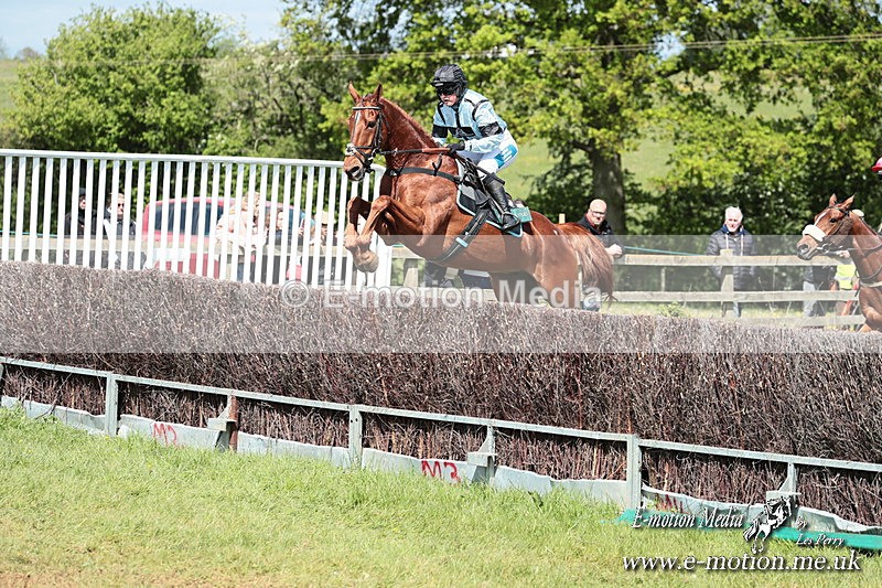 PtP 050525 38 - Mollington Races 05/05/25