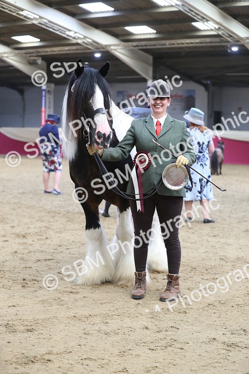 SBM_06457 - Class 9R Regional- IH Pre Vet