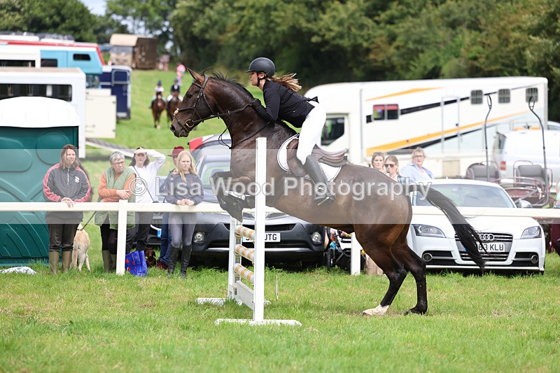 3E7A6912 - Class 5: Senior British Novice/90cm open