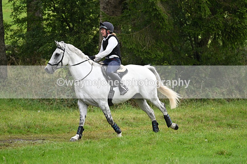 WJ7_8433 - Time 14:41 to 14:57