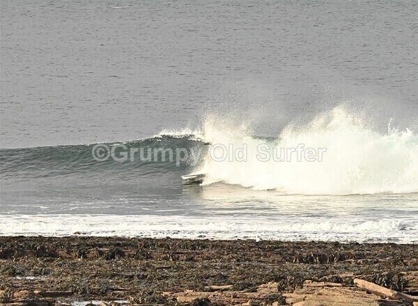 DSC_9281 - Thurso 6th November 2022